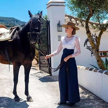 Pasa Fina, Luxury Holiday Retreat Villanueva del Trabuco Dış mekan fotoğraf