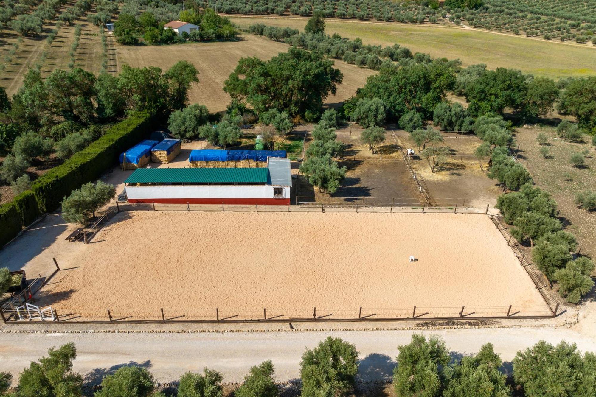 Pasa Fina, Luxury Holiday Retreat Villanueva del Trabuco Dış mekan fotoğraf
